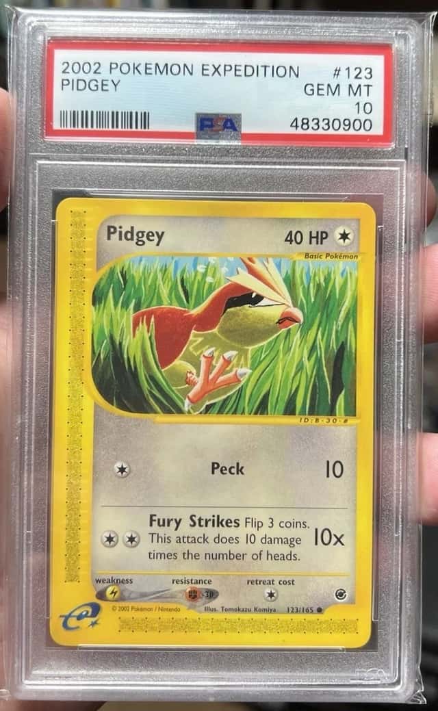 Pidgey