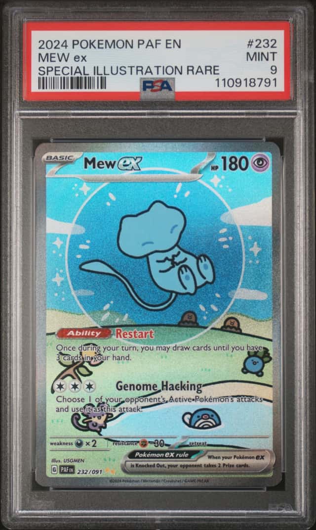 MEW ex