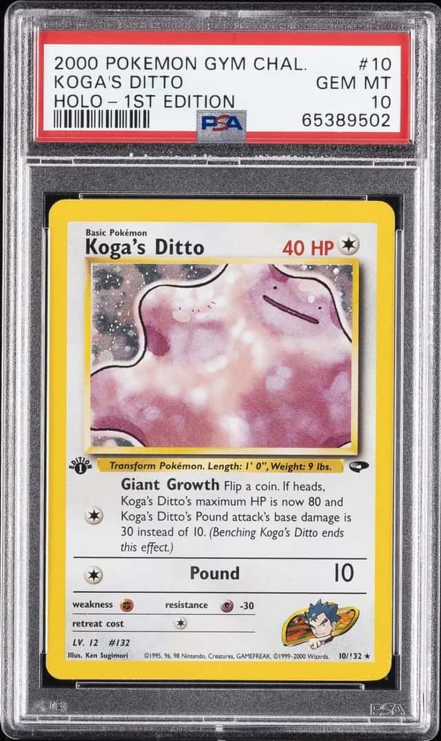Koga's Ditto