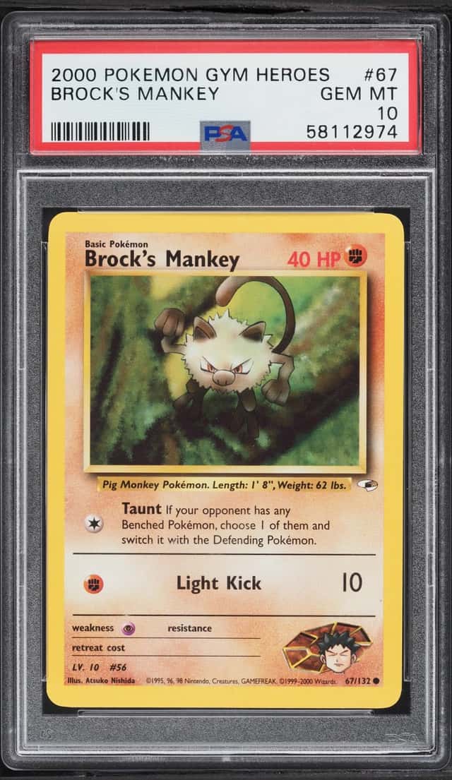 Brock's Mankey