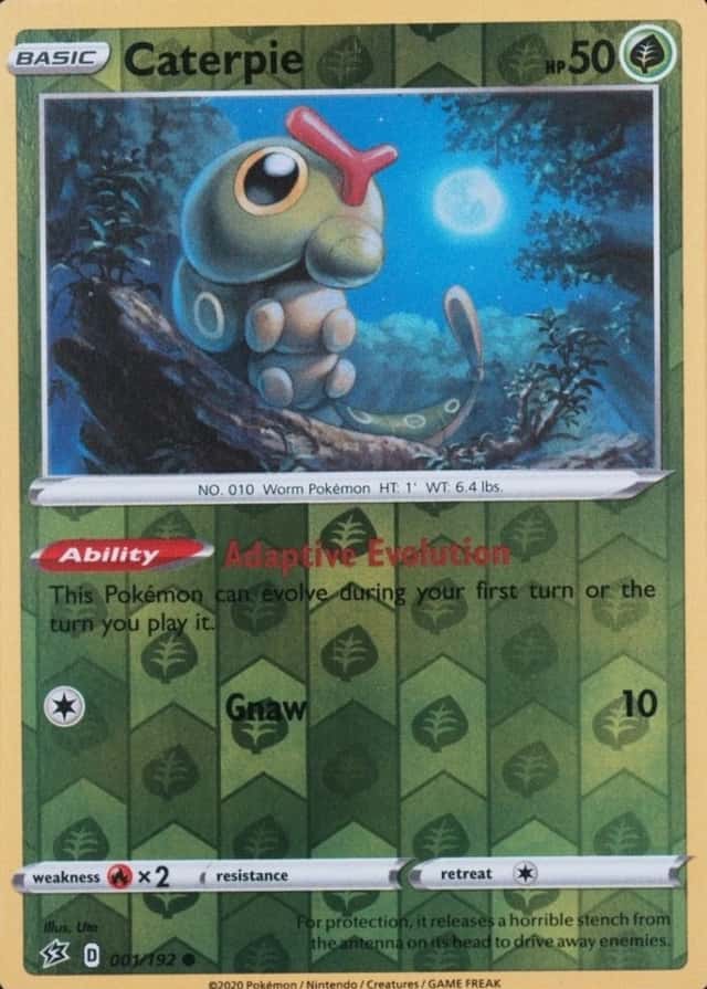 Reverse Holo