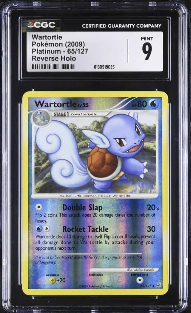 Wartortle