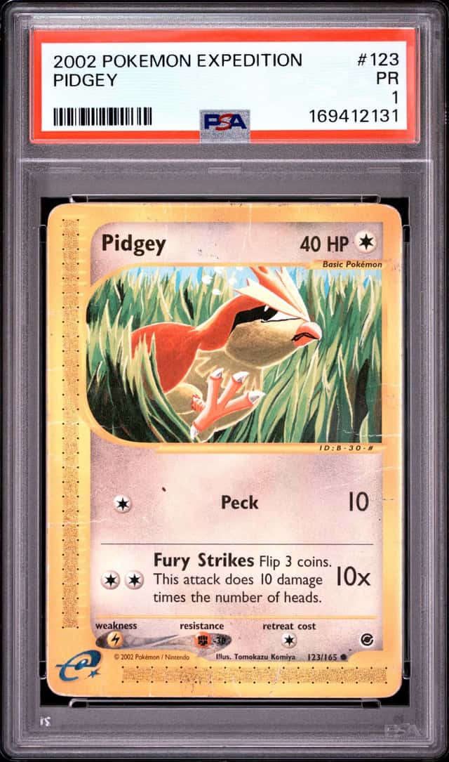 Pidgey