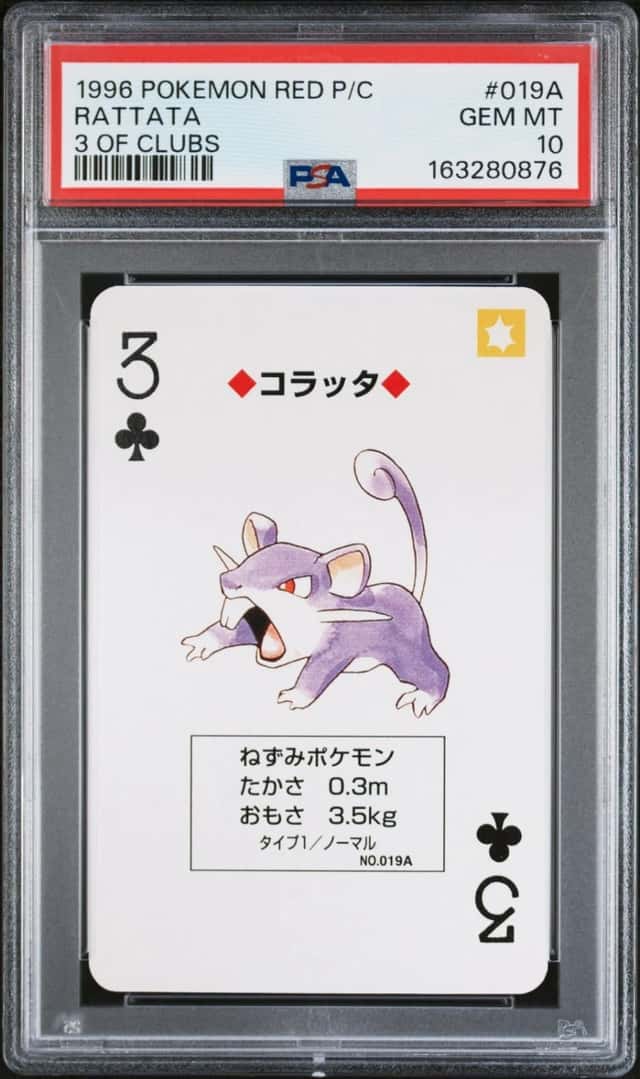 Rattata