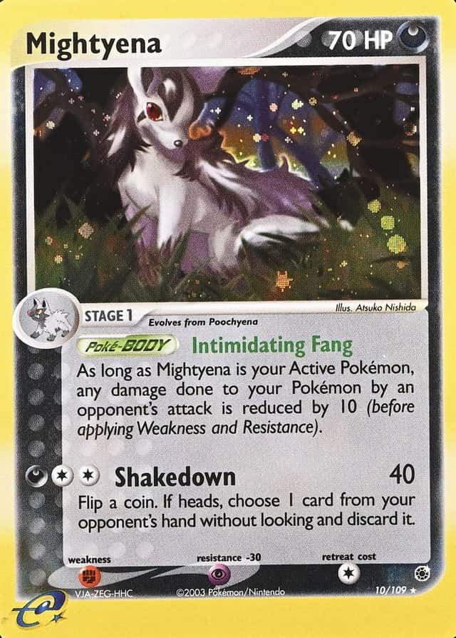 Holo