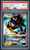 Raikou Gx