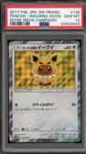 Poncho-Wearing Eevee
