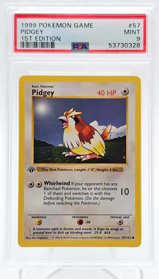 Pidgey
