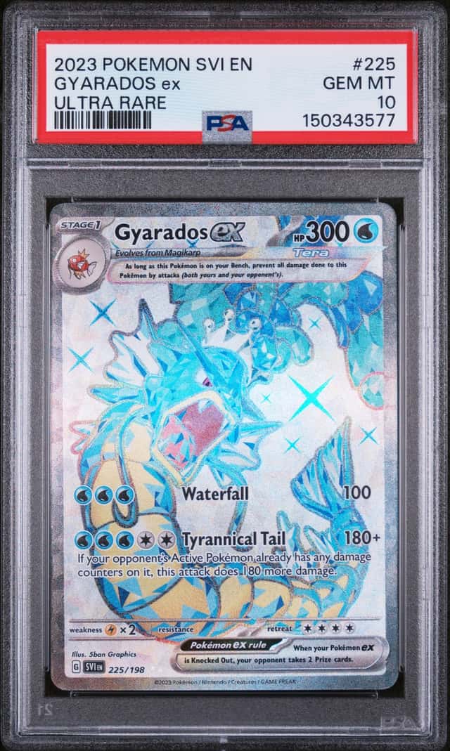 GYARADOS ex