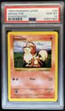 Growlithe