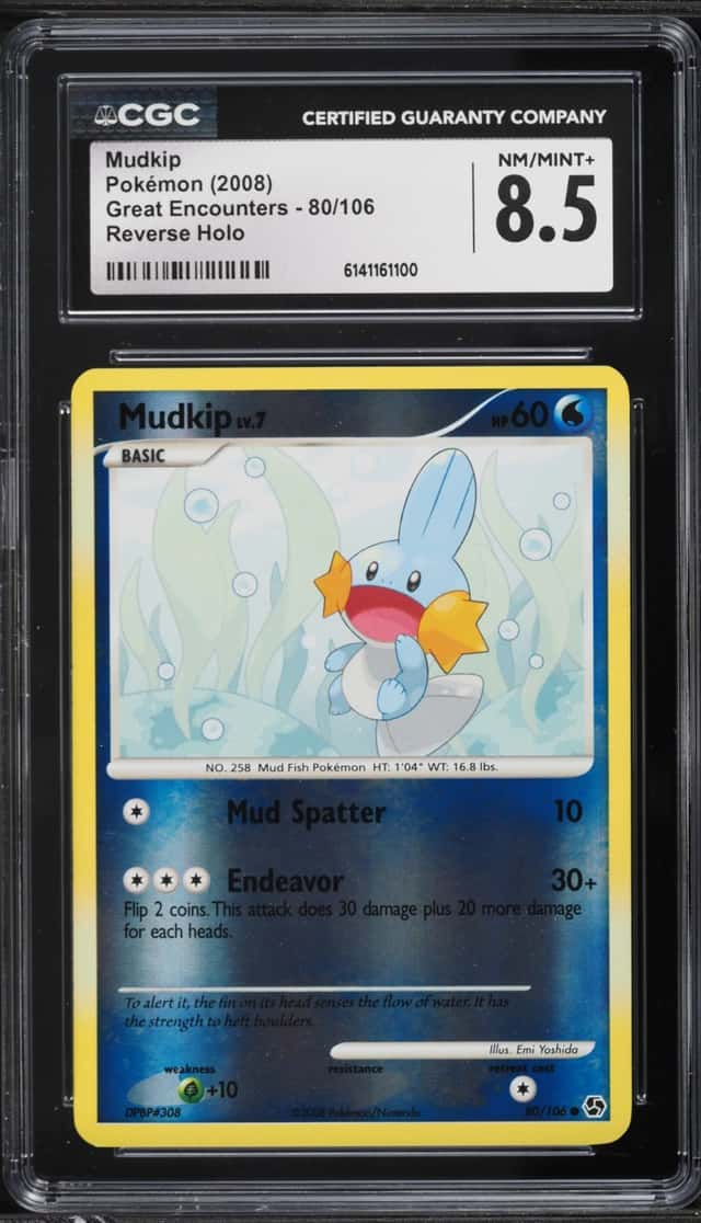 Mudkip