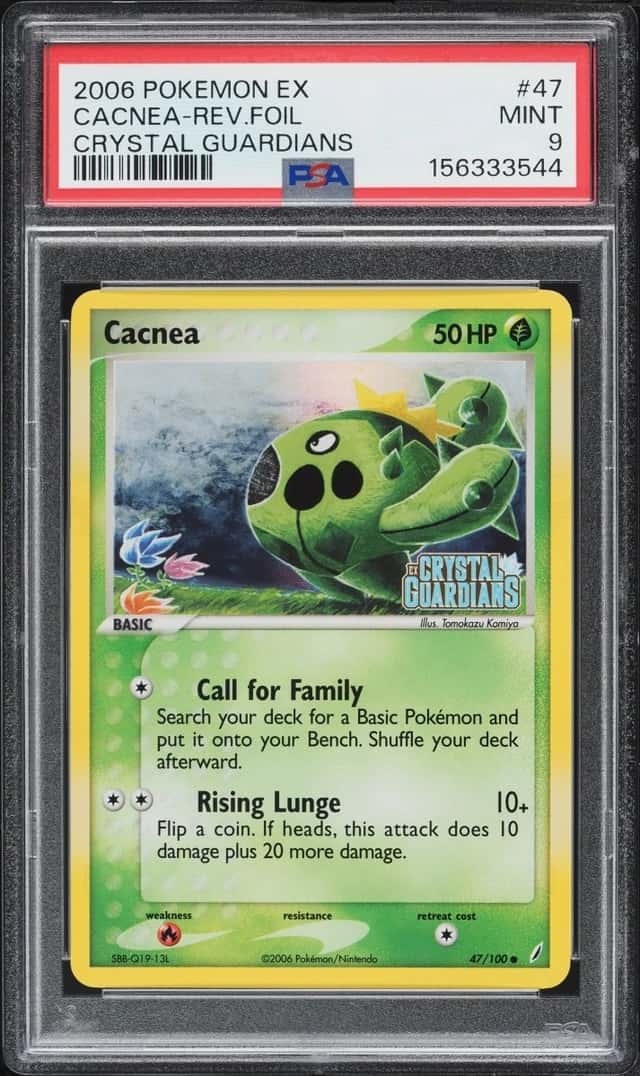 Cacnea
