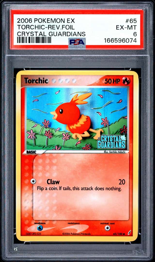 Torchic