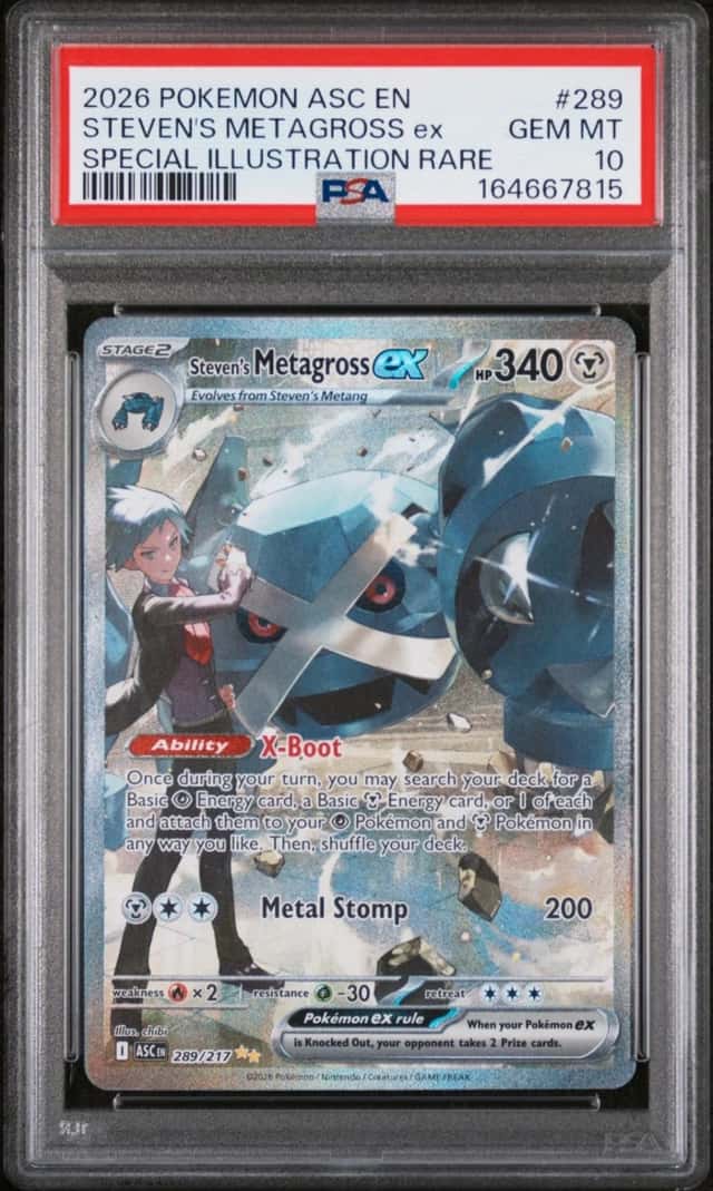 STEVEN'S METAGROSS ex