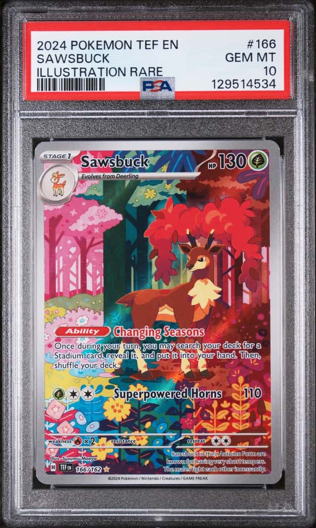 Sawsbuck