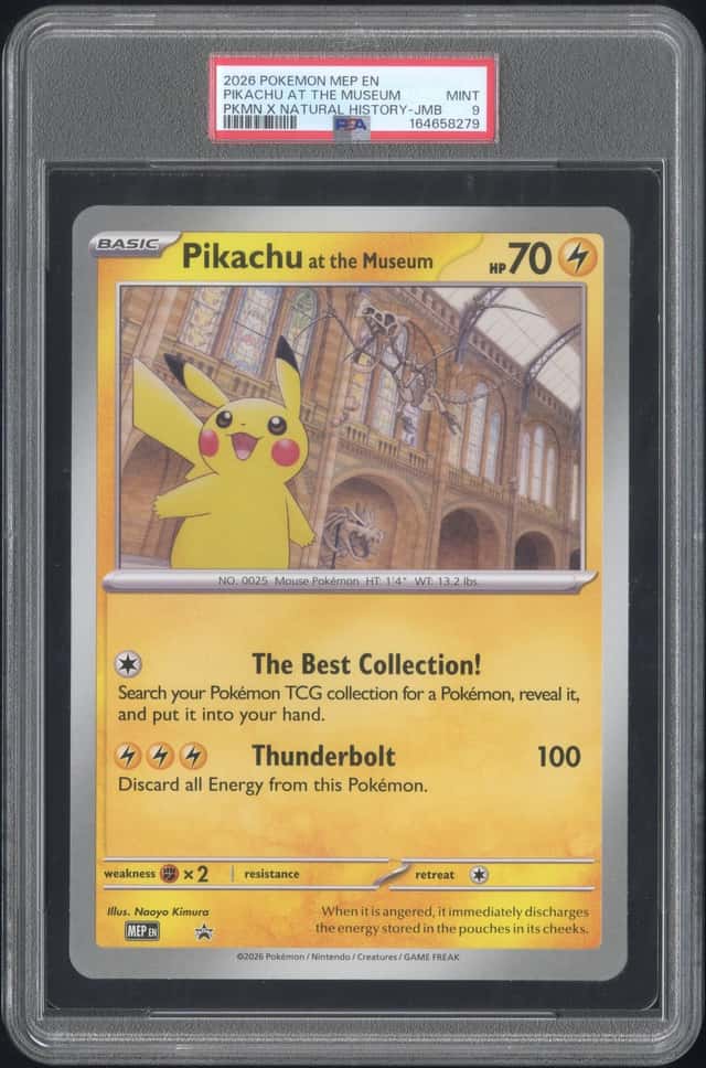 Pikachu At The Museum