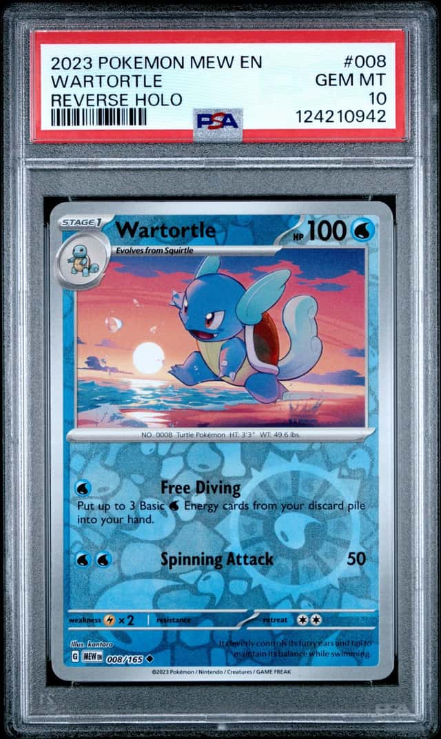 Wartortle