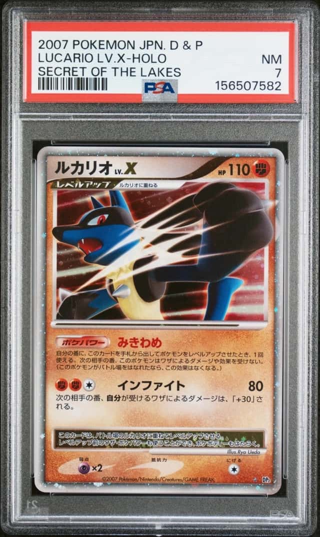 Lucario Lv X