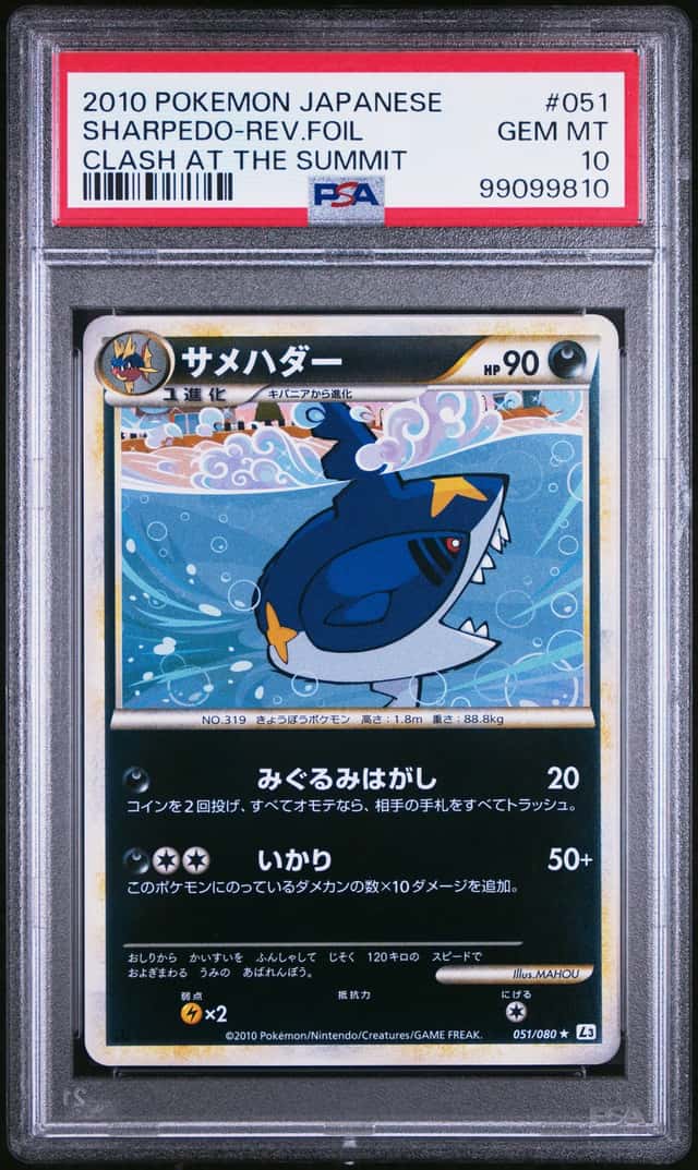 Sharpedo