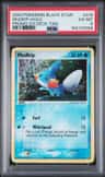 Mudkip