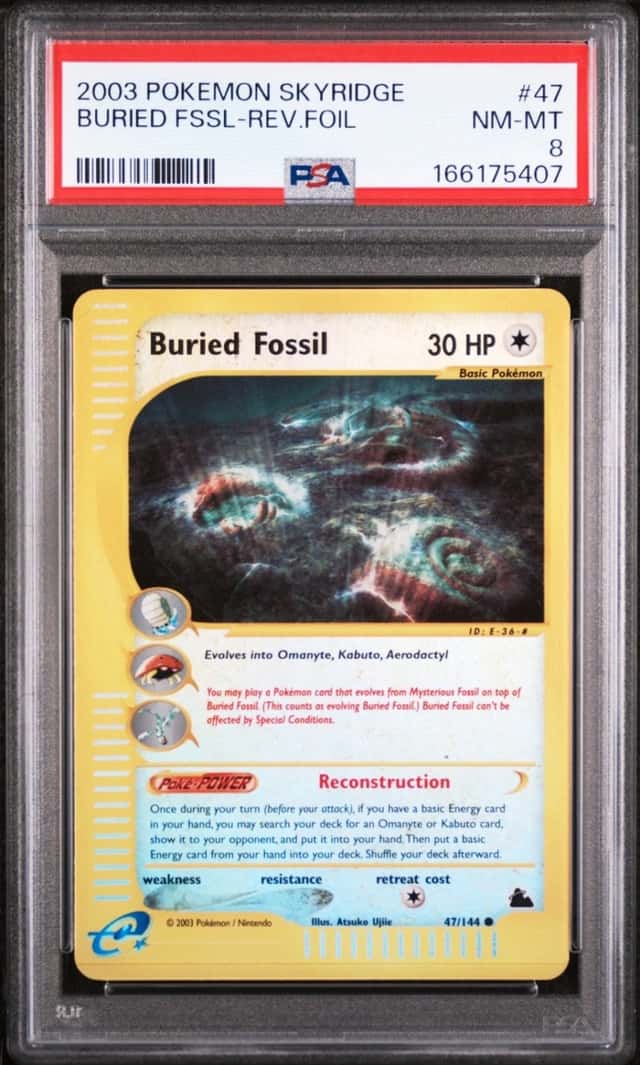 Buried Fossil