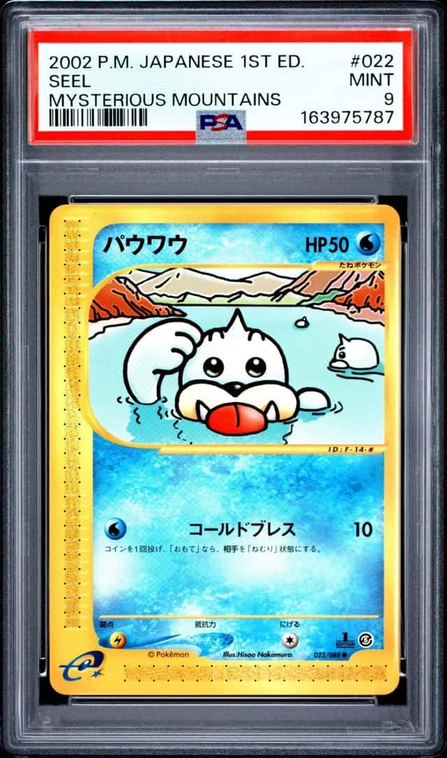 Seel