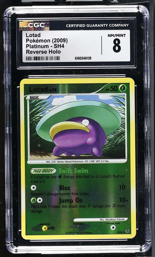 Lotad