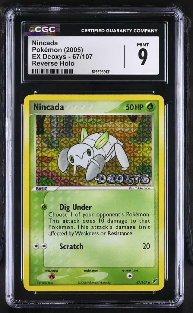 Nincada