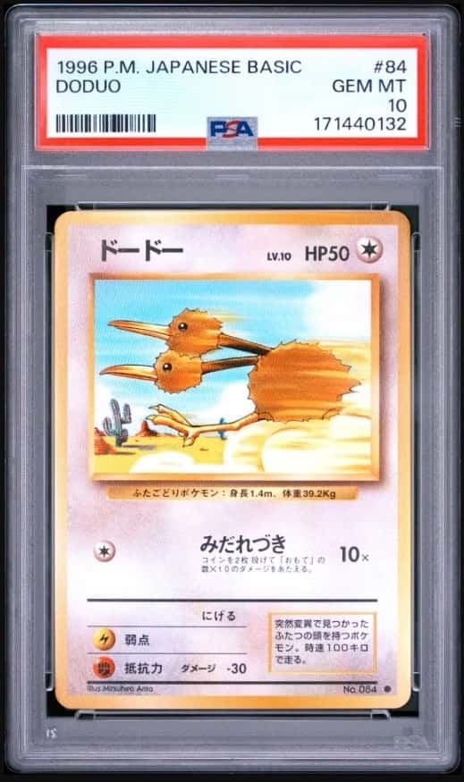 Doduo