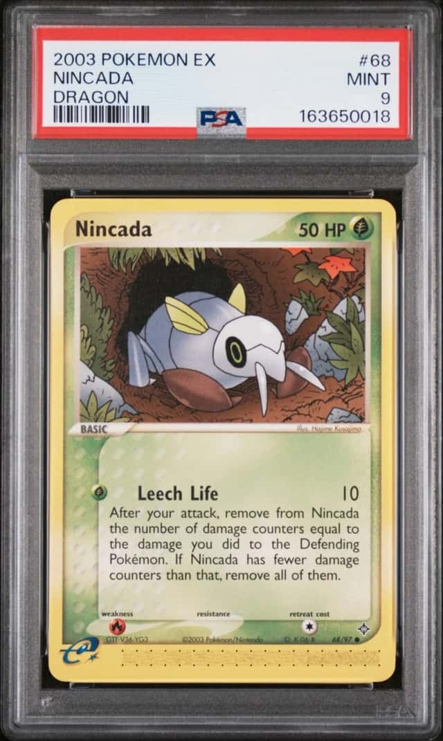 Nincada