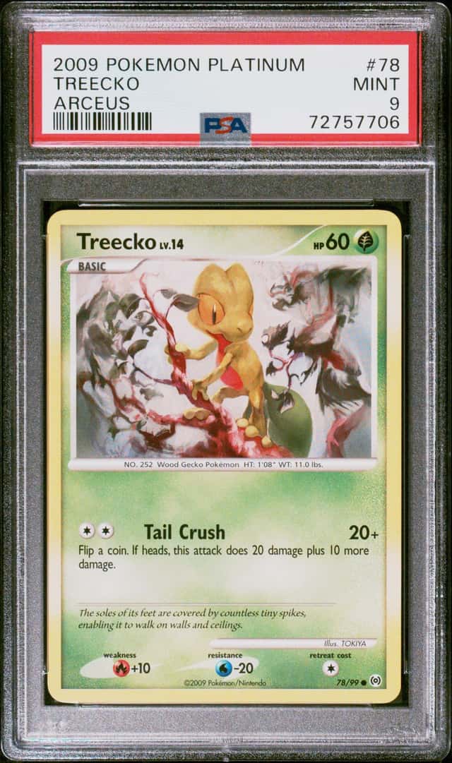 Treecko
