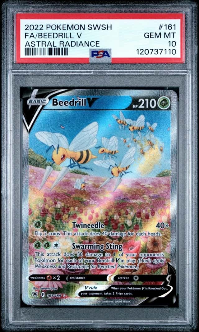 Beedrill V