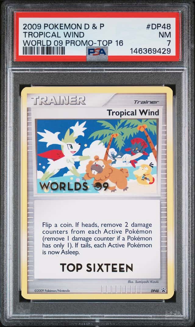 Tropical Wind