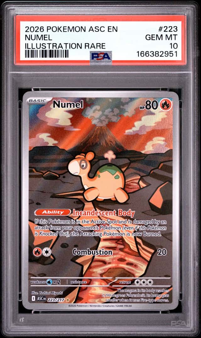 Numel