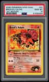 Brock'S Vulpix