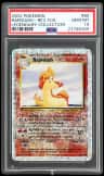 Rapidash