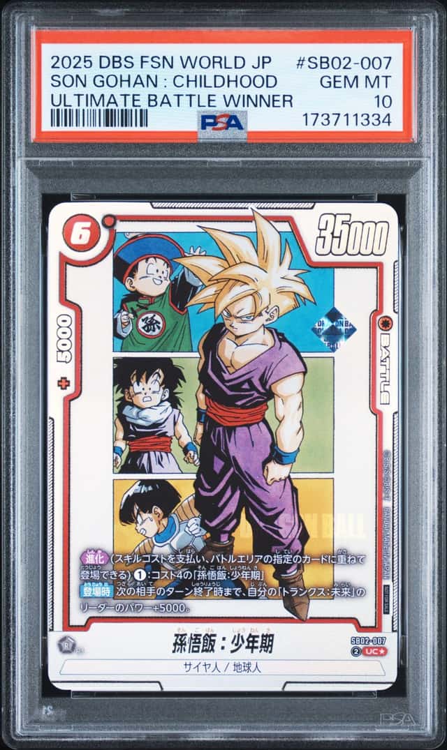 SON GOHAN : CHILDHOOD