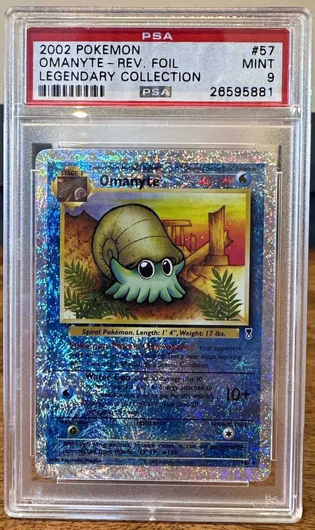 Omanyte
