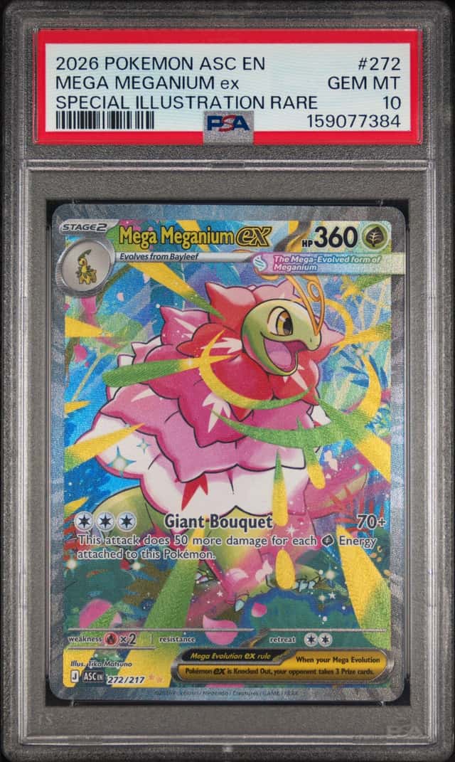 MEGA MEGANIUM ex