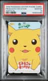 Pikachu'S Vacation