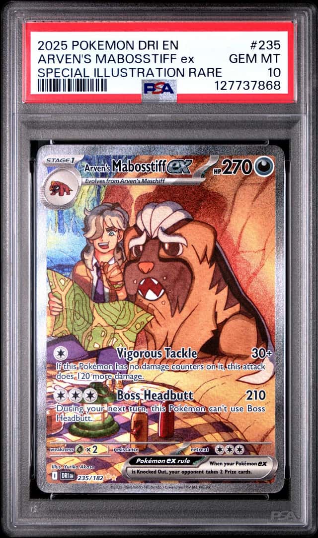ARVEN'S MABOSSTIFF ex