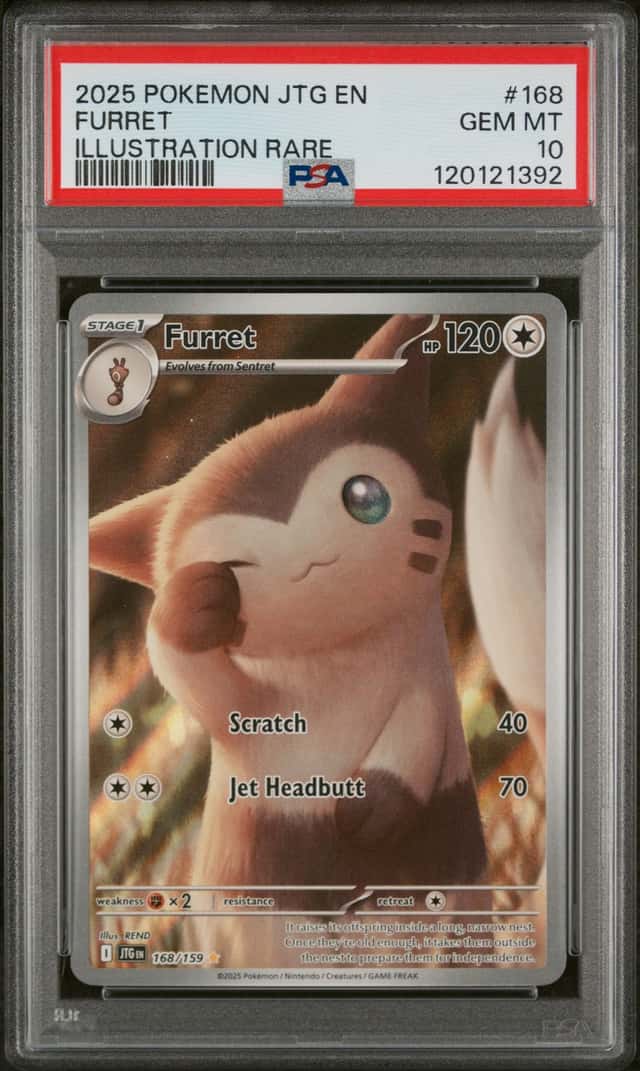 Furret