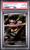 Aipom
