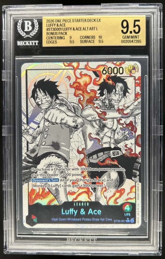 Luffy & Ace