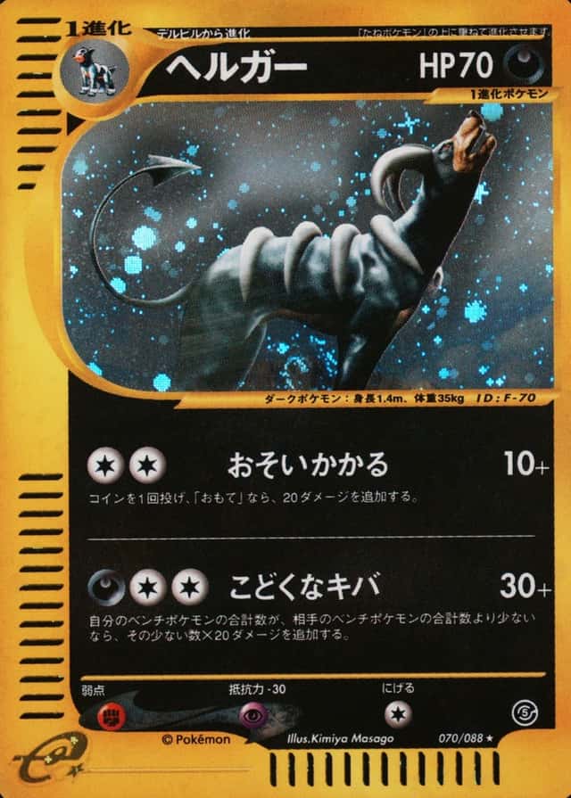 Holo