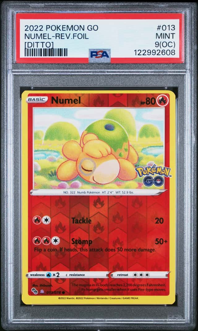 Numel (Ditto)