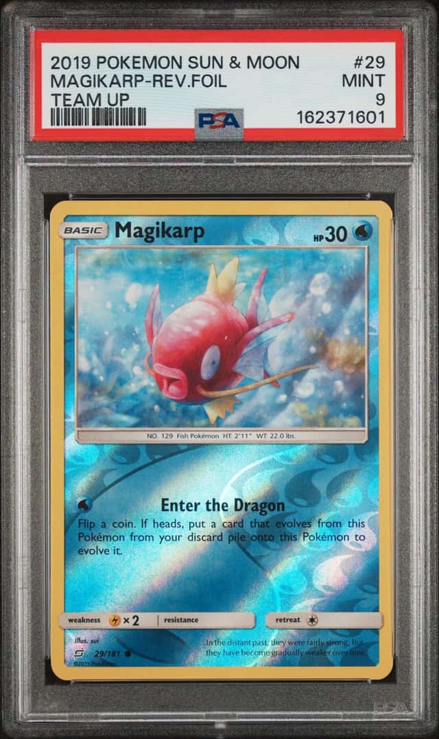 Magikarp
