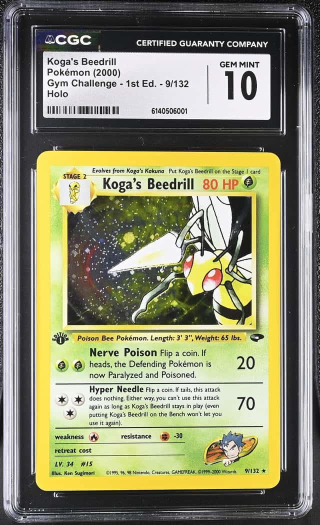 Koga's Beedrill
