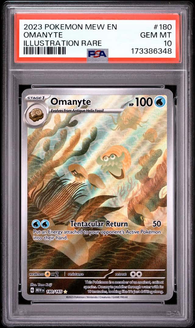 Omanyte