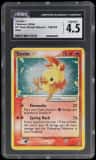 Torchic